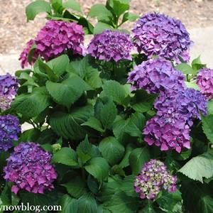 Meet your Posher, Shawna